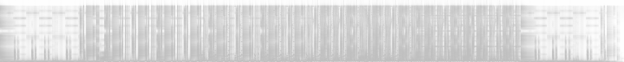 Spectrogram for 4 a.m. lake backdoor